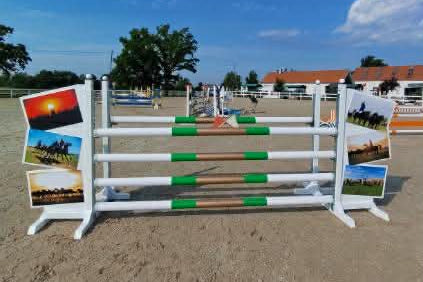 Equestrian jump with pictures of horses on stands against a blue sky.